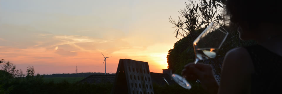 Wein kennenlernen