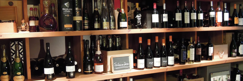 Wein kennenlernen